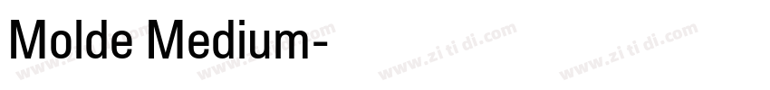 Molde Medium字体转换